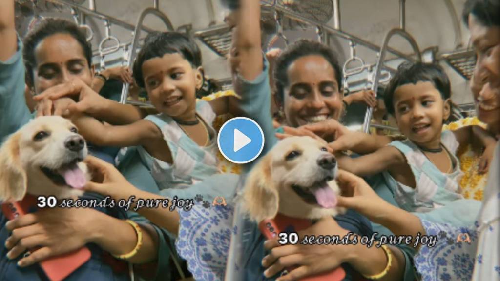 Pet dog Minnie Travel in local train