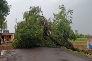 Rain with strong gale in Karjat taluka lightning struck house in Kopardi