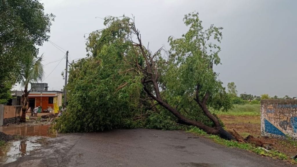 Rain with strong gale in Karjat taluka lightning struck house in Kopardi