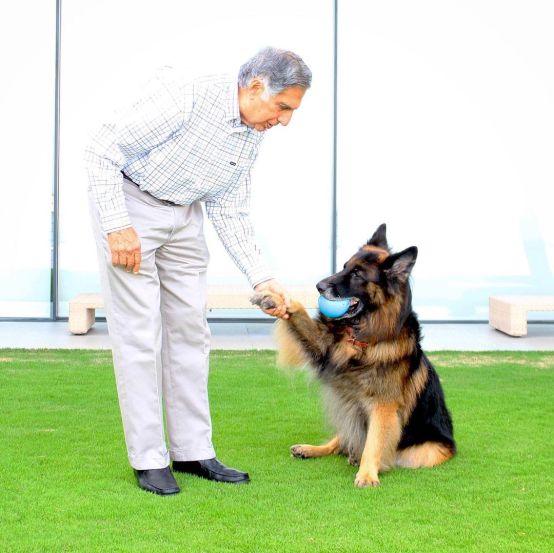 Ratan Tata Dog Name Goa Story