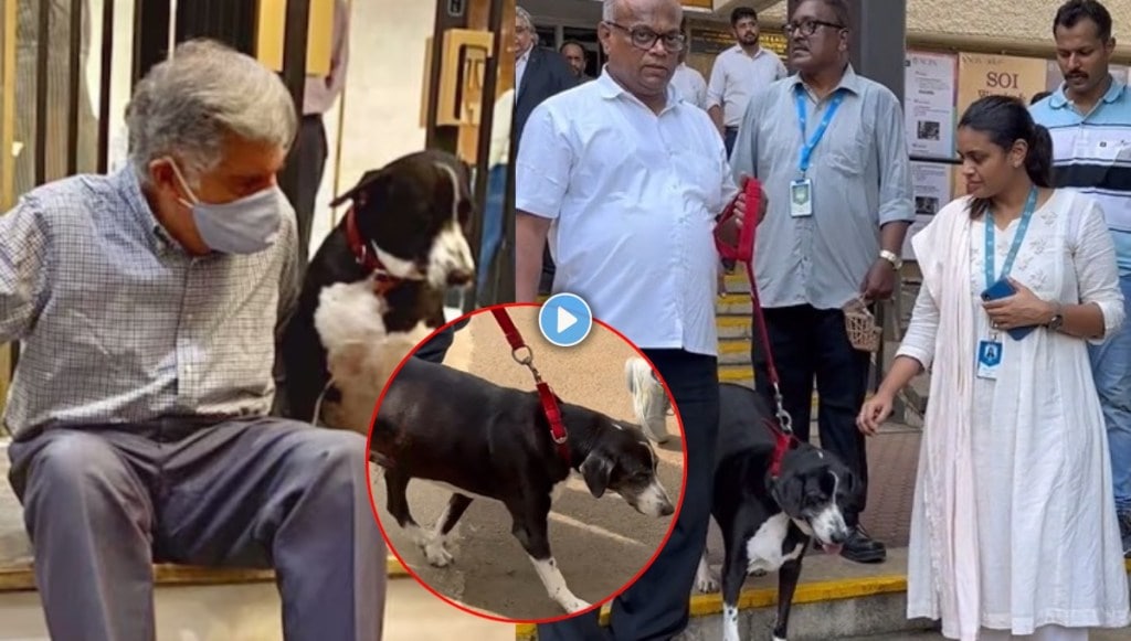 Ratan Tata Pet Dog came to pay him last tribute