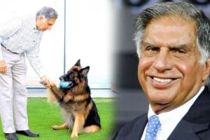 Ratan Tata Will Tito dog