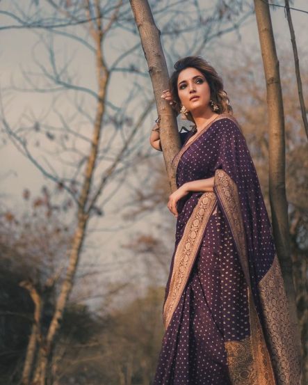 Rupali Bhosle Purple Banarasi Saree