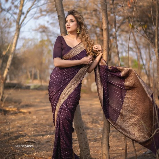 Rupali Bhosle Purple Banarasi Saree