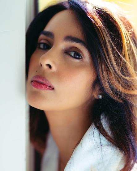 Mallika Sherawat, Mallika Sherawat shared working in South industry,Mallika Sherawat interview