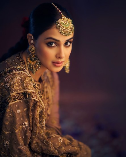 Genelia deshmukh traditional look