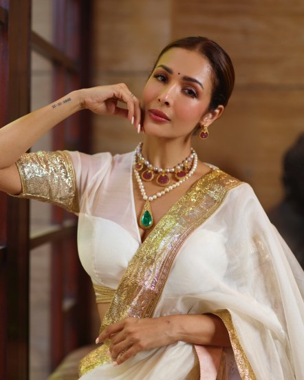 malaika arora, malaika arora saree look, malaika arora latest photos