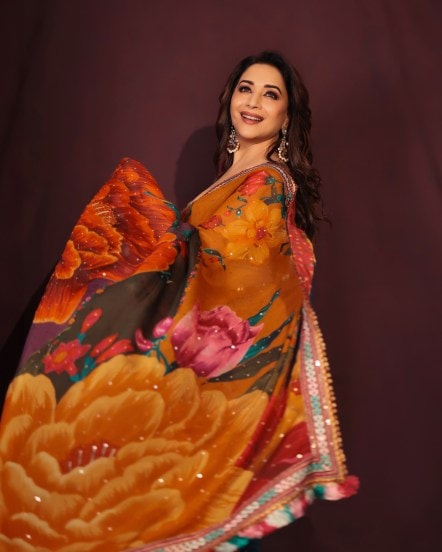 madhuri dixit saree look