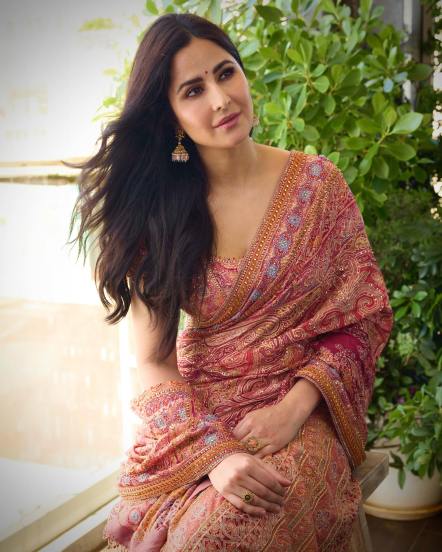 Katrina kaif saree look, navratri 2024