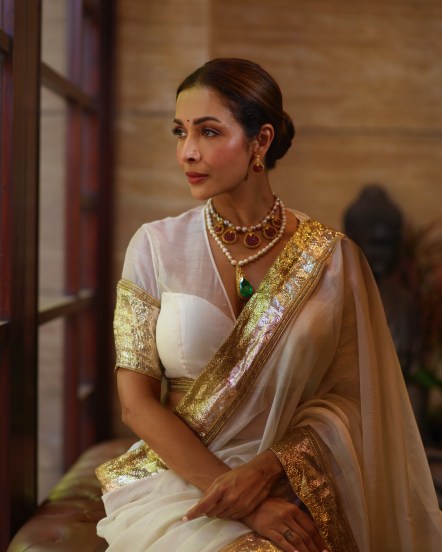 malaika arora, malaika arora saree look, malaika arora latest photos