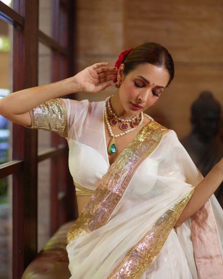 malaika arora, malaika arora saree look, malaika arora latest photos