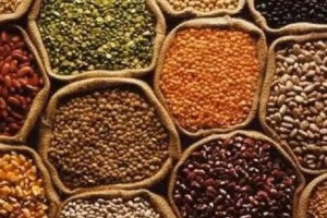 Loksatta article How to prevent shortage of pulses