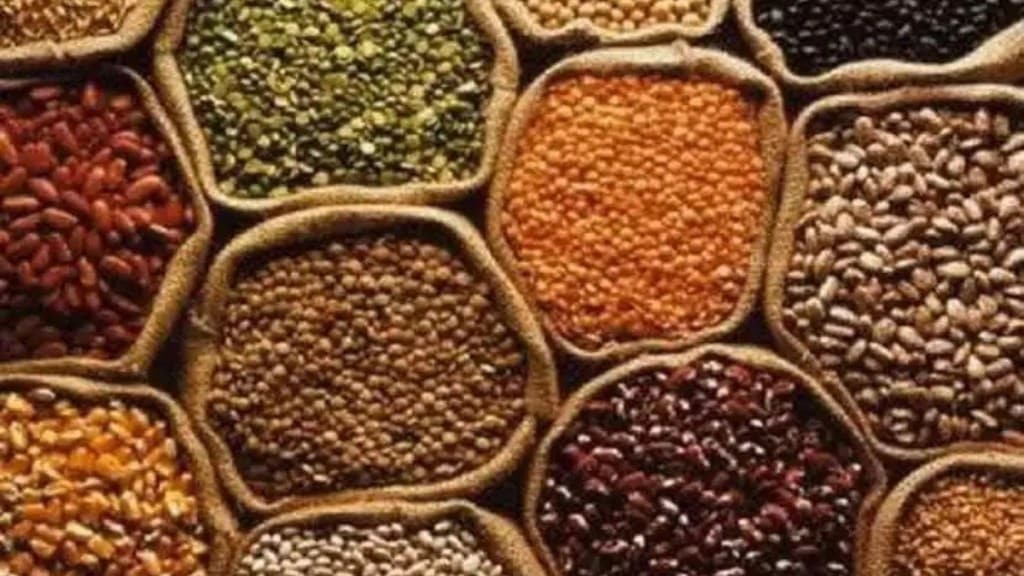 Loksatta article How to prevent shortage of pulses