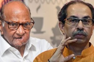 Sharad Pawar and Uddhav Thackeray candidate list for vidhan sabha Election