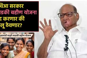 Sharad pawar on ladki bahin scheme