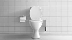 Tax on Toilet Seat : आता घरातील प्रत्येक शौचकुपावर टॅक्स लागणार, आर्थिक संकटात सापडलेल्या ‘या’ सरकारचा मोठा निर्णय