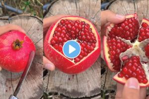 Jugaad video : Best Way To Cut & open a Pomegranate