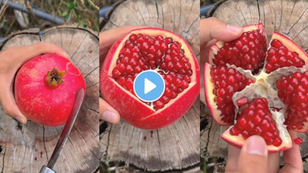 Jugaad video : Best Way To Cut & open a Pomegranate