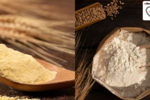 Sooji vs Wheat Flour : Benefits of Rava and Wheat Flour