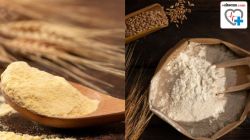 Rava vs Wheat Flour : रवा की गव्हाचे पीठ; आरोग्यासाठी जास्त फायदेशीर काय? जाणून घ्या, तज्ज्ञ काय सांगतात