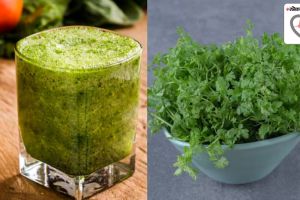 coriander juice beneficial for weight loss