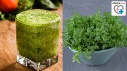 Coriander Juice : खरंच कोथिंबिरीचा रस प्यायल्याने वजन कमी होते? जाणून घ्या, हा रस आरोग्यासाठी कसा फायदेशीर?