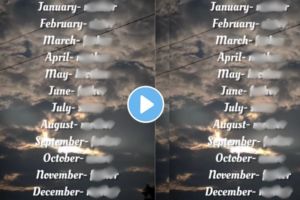 Viral Video: Your Birth Month Reveals Who Loves You Most!