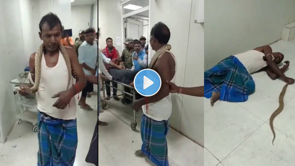 Viral Video Of Snake Bite Man Walks Into Bihar Hospital Reptile In Hand ...