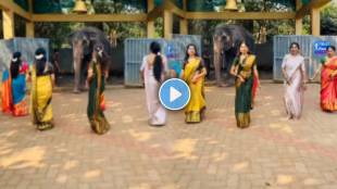 Viral Video of Enemy Tamil Movie Tum Tum Song Elephant stole the show