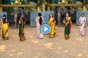 Viral Video of Enemy Tamil Movie Tum Tum Song Elephant stole the show