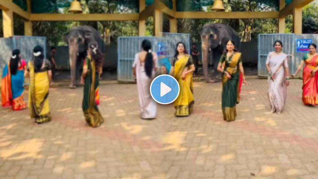 Viral Video of Enemy Tamil Movie Tum Tum Song Elephant stole the show