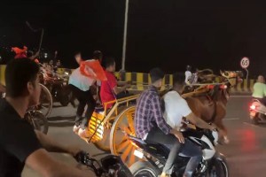 Chariot race in Kashimira, Vasai, horses seized,