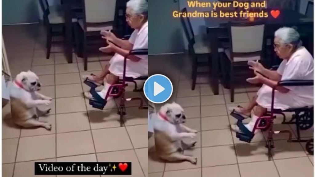 Viral Video Shows Pet Dog and Grandma