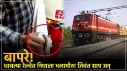 Snake in Train : बापरे! धावत्या रेल्वेत निघाला भलामोठा जिवंत साप अन् प्रवाशांचा उडाला गोंधळ, VIDEO व्हायरल; नेमकं काय घडलं?