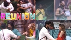 Bigg Boss Marathi 5: सर्व एलिमिनेटेड सदस्यांची घरात पुन्हा एंट्री, पण ‘तो’ एक सदस्य गैरहजर; नेटकरी म्हणाले…