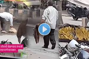 banana seller disgusting video Fruit seller shocking video