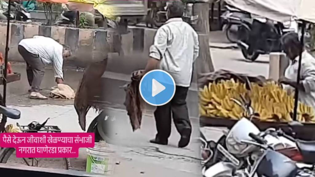 banana seller disgusting video Fruit seller shocking video