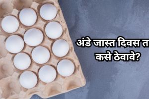 best way to store egg to keep them fresh for longer know tips from experts