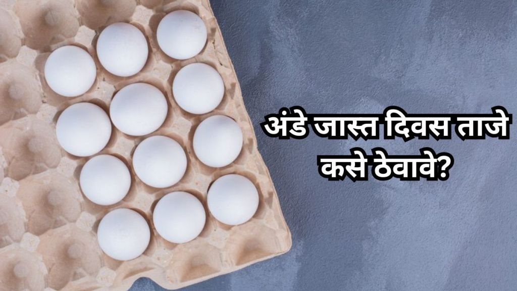 best way to store egg to keep them fresh for longer know tips from experts