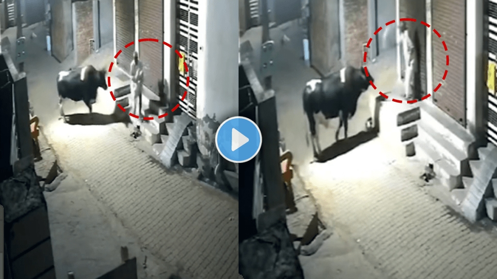 Terrifying video of a bull attacked elderly by hitting him in the air viral video