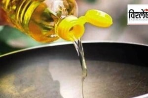 National mission on Edible Oils