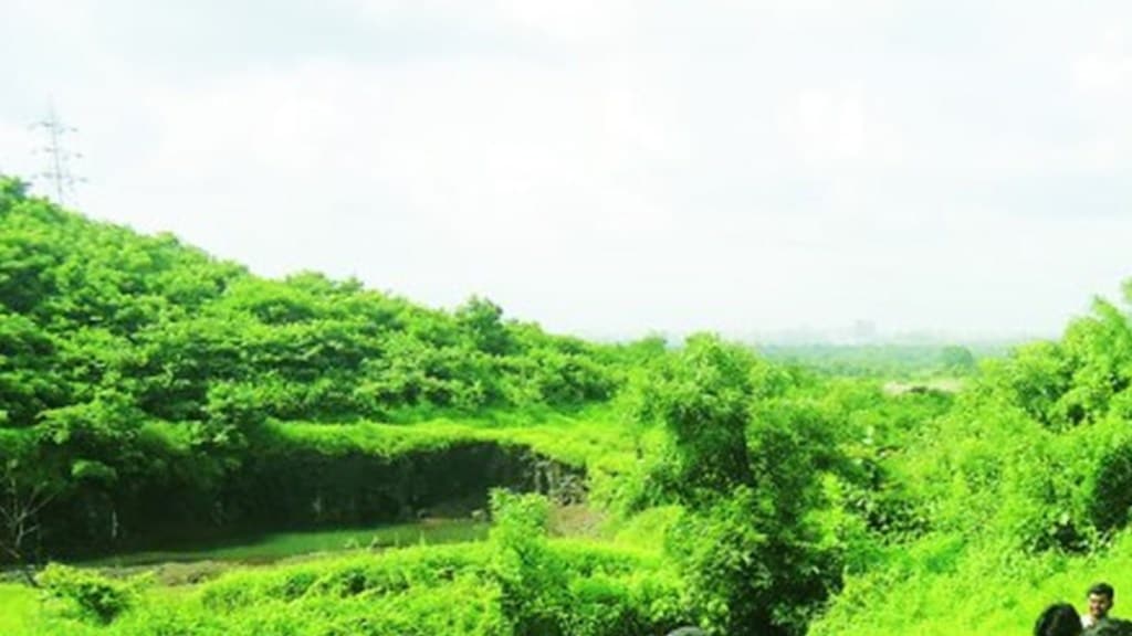 thane forest plots marathi news