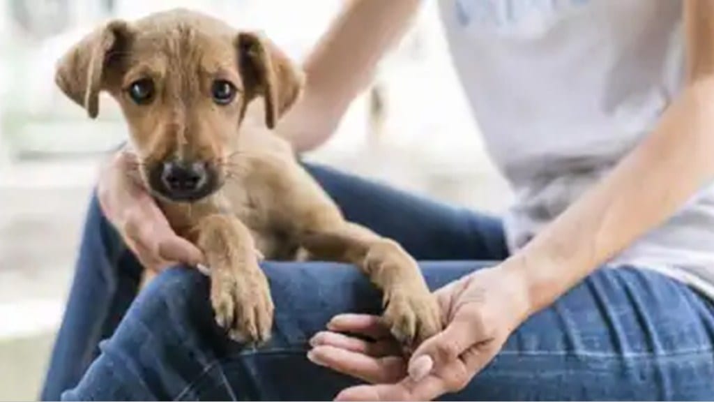 farmer beaten up due to dog