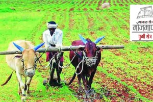 government work in agriculture sector