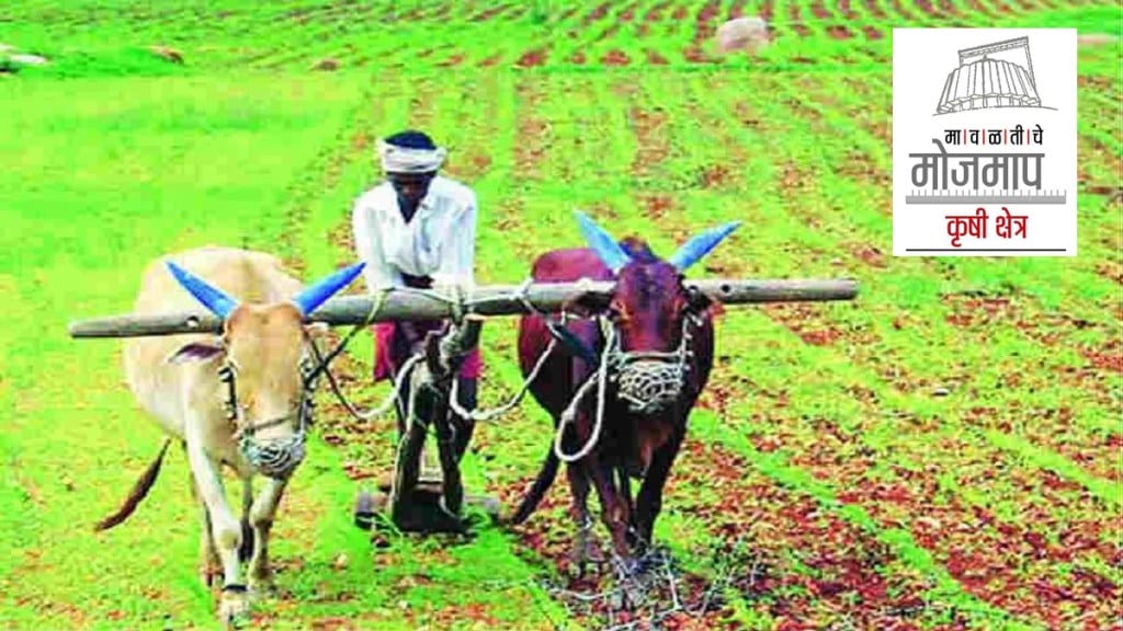 government work in agriculture sector