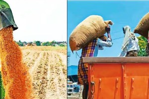 mpsc mains exams agricultural sector