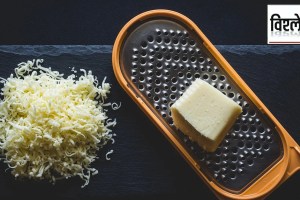 scientists discovered the worlds oldest cheese