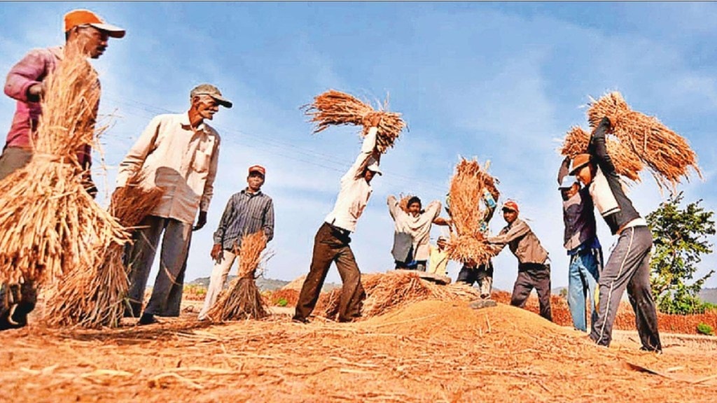 Crop varieties developed by the University