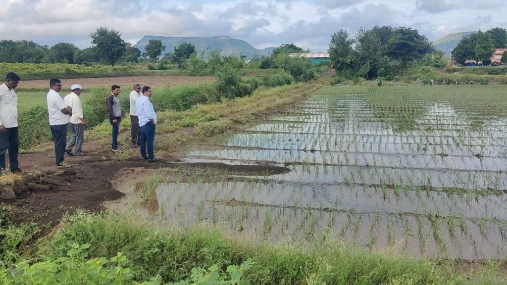 Crops on 38 thousand hectares were hit by heavy rains Chandwad Deola and Peth suffered the most damage