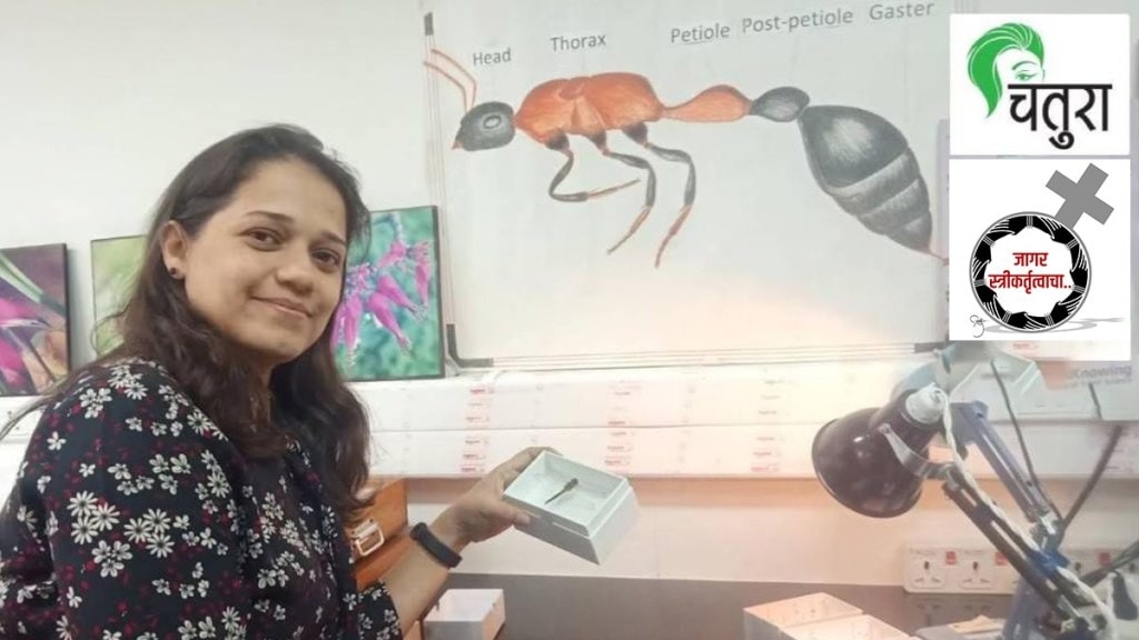 Nutan Karnik, Ant researcher Nutan Karnik, Ant,